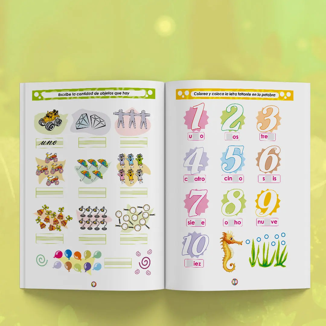 Colección + Transición