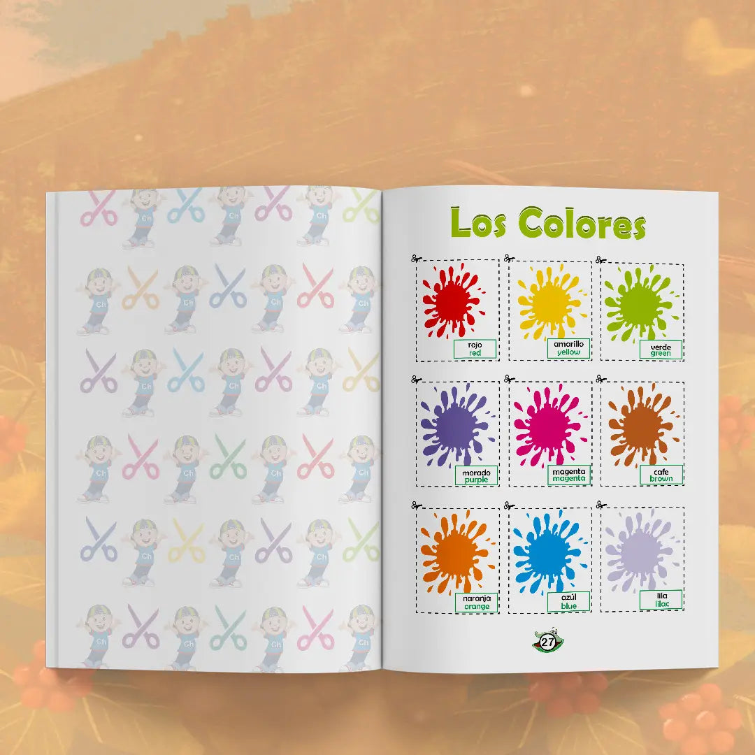 Colección + Transición