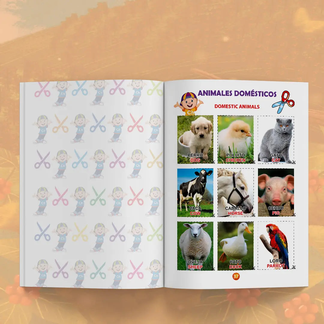 Cheito + Recortes 4
